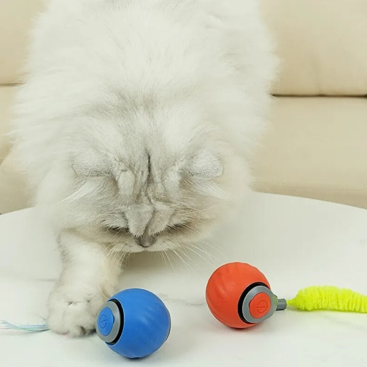 Persian cat interacting with two Zoomie Tail interactive cat balls, one blue and one orange, both featuring engaging design with tails for fun playtime.