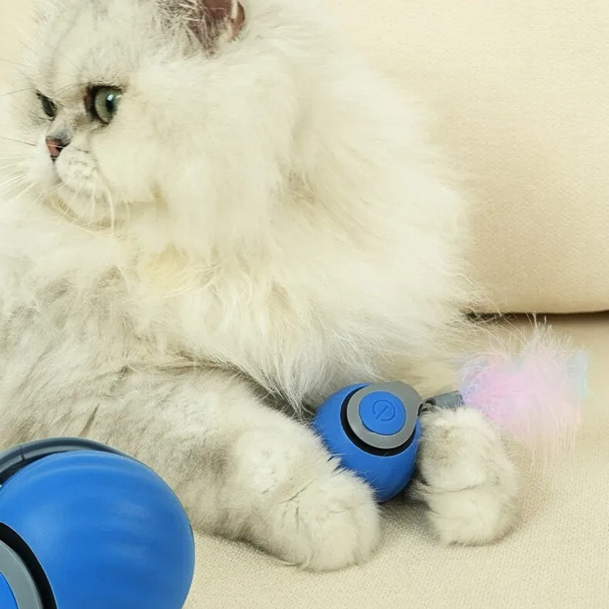 Persian cat playing with a blue Zoomie Tail interactive cat ball with a colorful fluffy tail, designed for engaging, touch-activated play and stimulation.