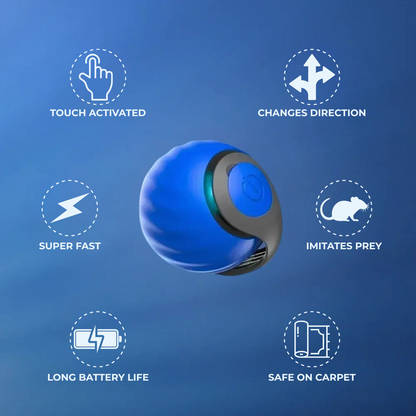 Zoomie Tail automatic touch-activated cat ball that changes direction, imitates prey, and moves super fast. Features long battery life and is safe to use on carpet for interactive playtime.