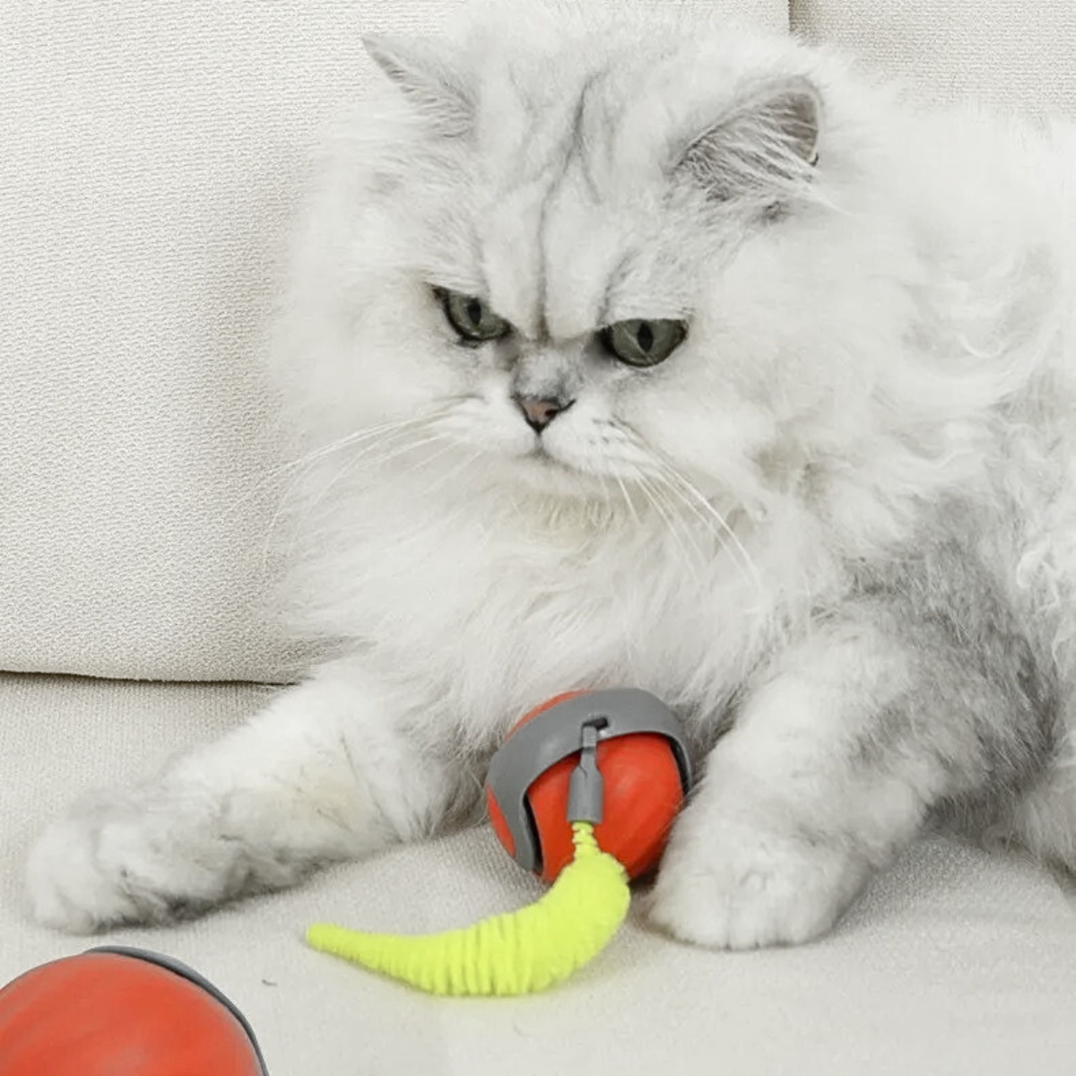 Persian cat playing with a Zoomie Tail interactive cat ball featuring a green tail, designed for engaging and entertaining play.