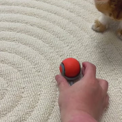 Video of a cat playing with the Zoomie Tail automatic cat ball, engaging in active motion and entertainment with its motion-activated design.